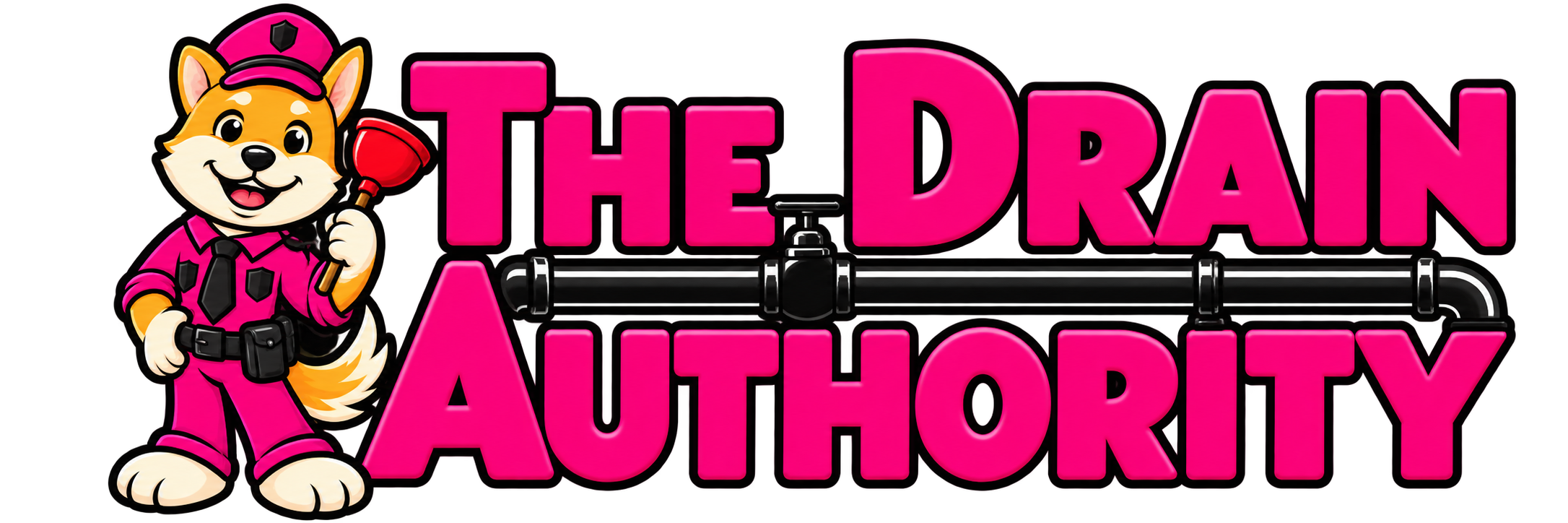 The Drain Authority