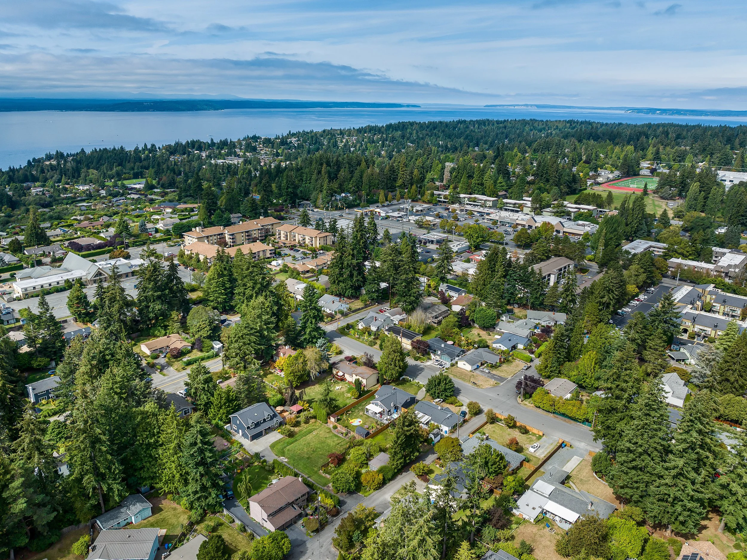 Shoreline drain cleaning