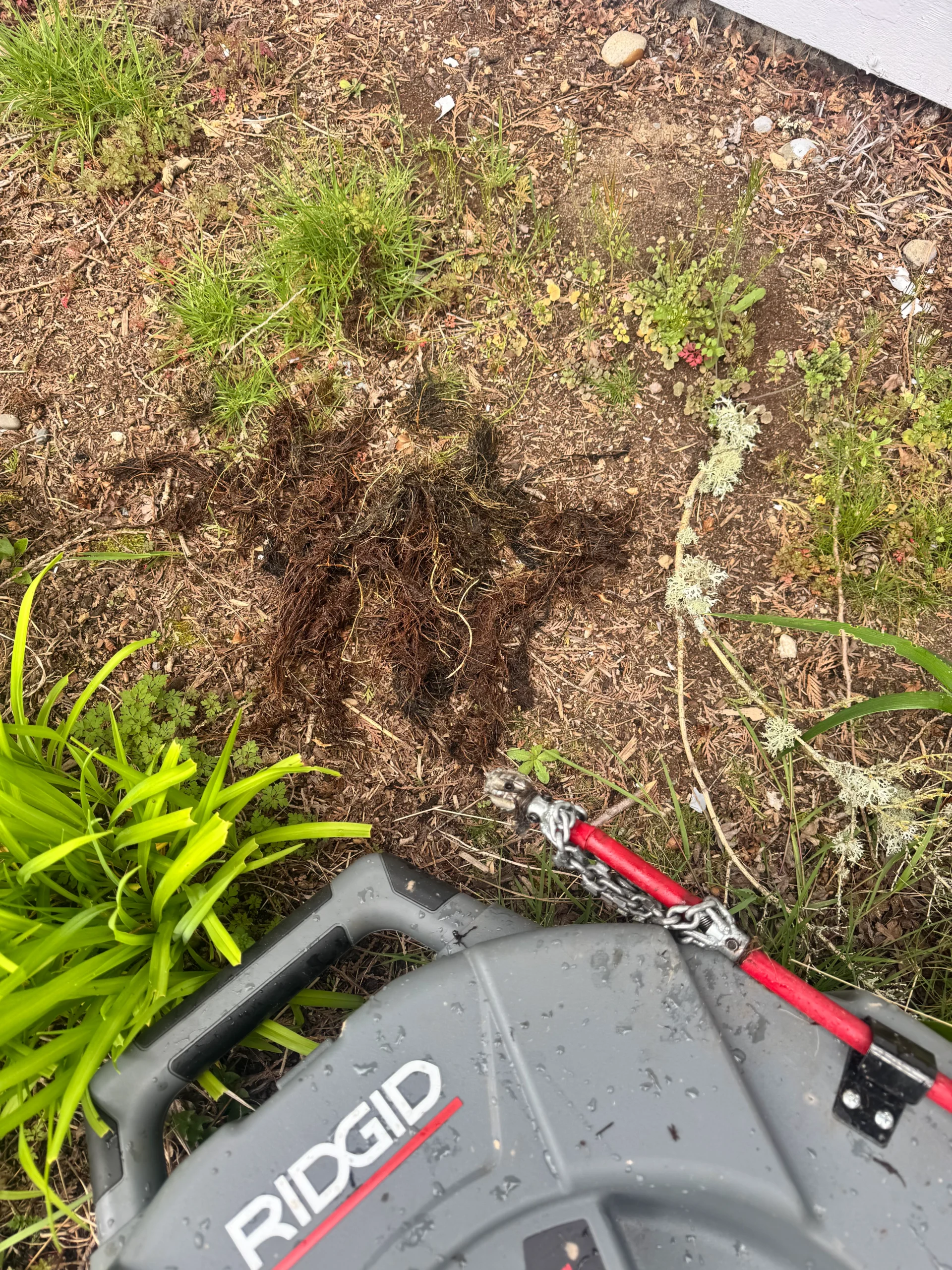 The Drain Authority sewer cleaning in Seattle WA — owner-operated licensed sewer service with flat-rate pricing and no hidden fees