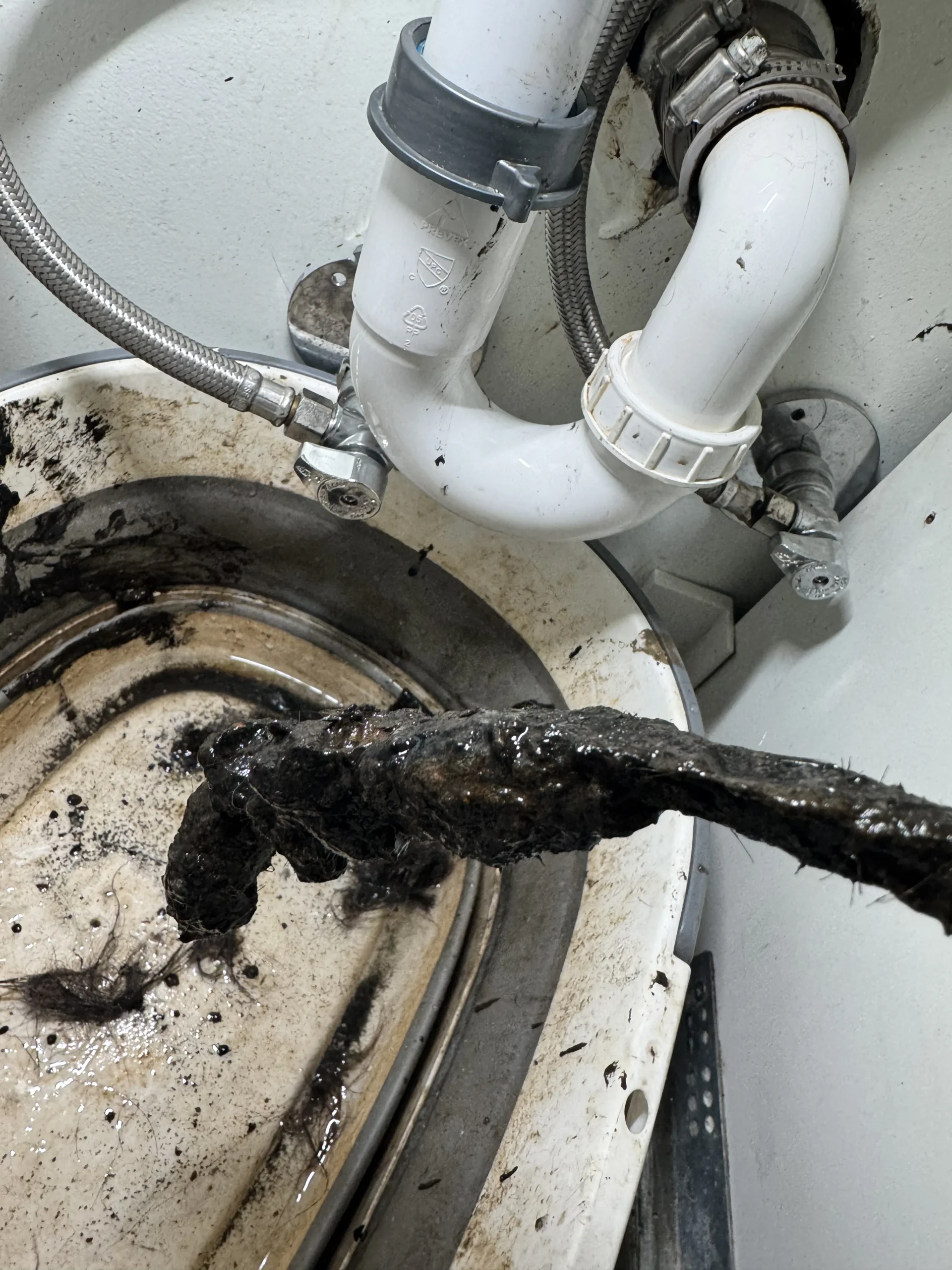 Buildup cleared from a Bellevue drain line during drain cleaning
