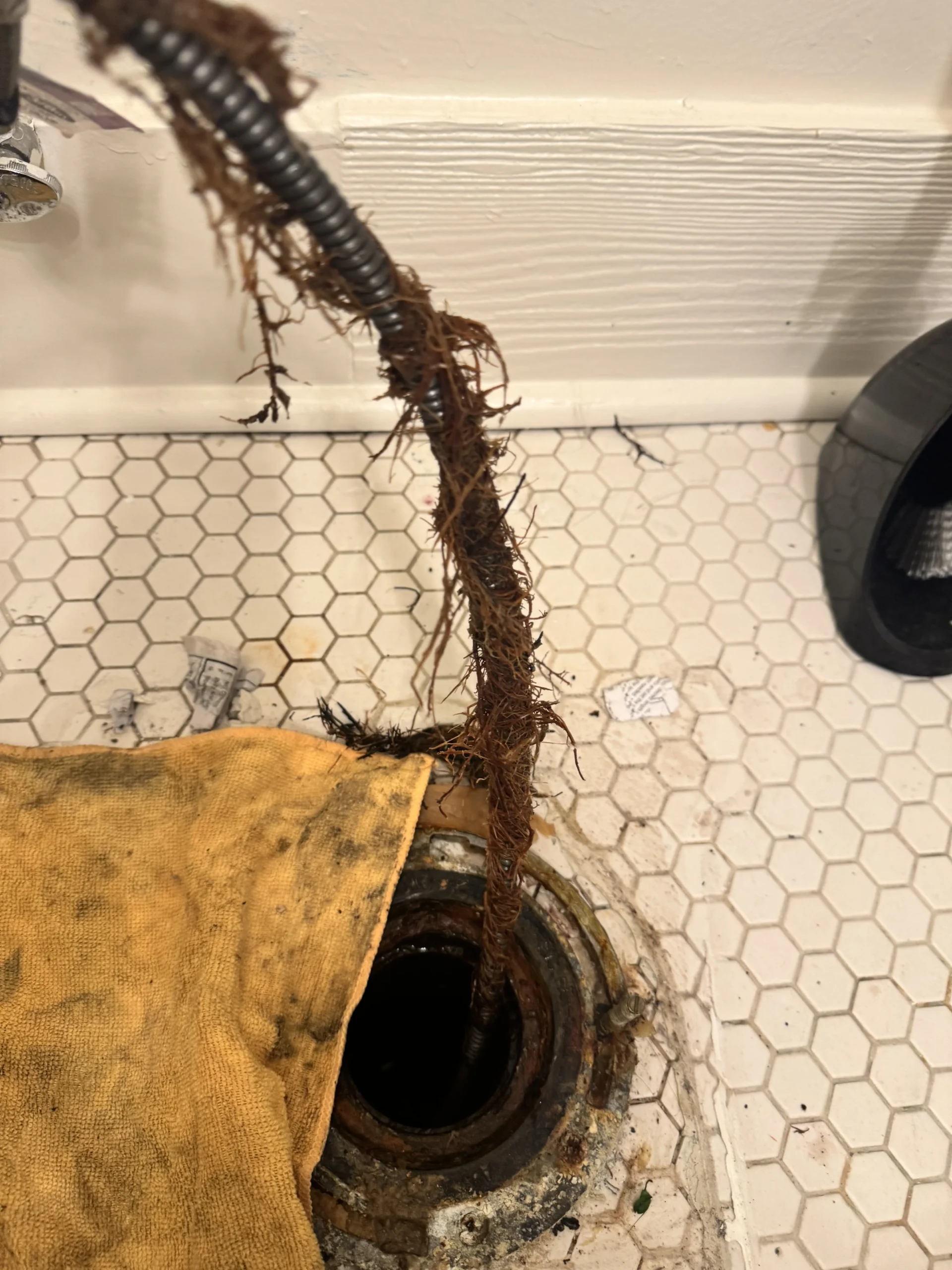 Clearing a backed-up Shoreline fixture during rooter service
