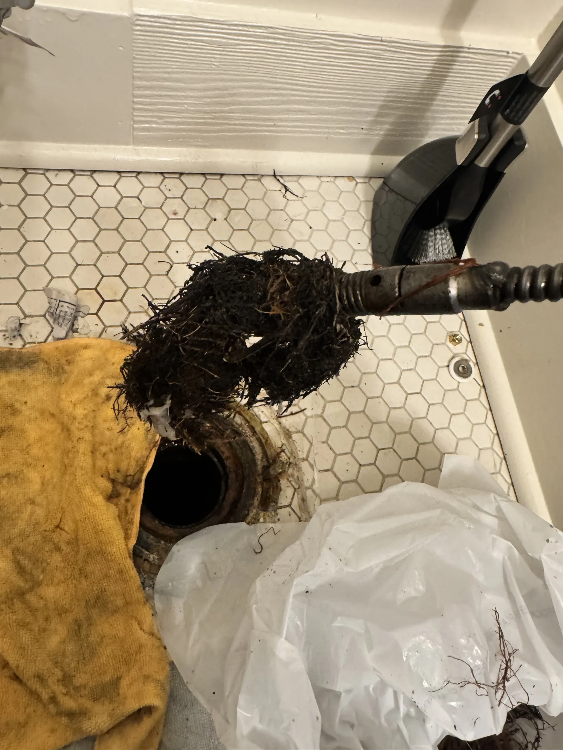 Debris pulled from a Lynnwood drain during rooter service | The Drain Authority