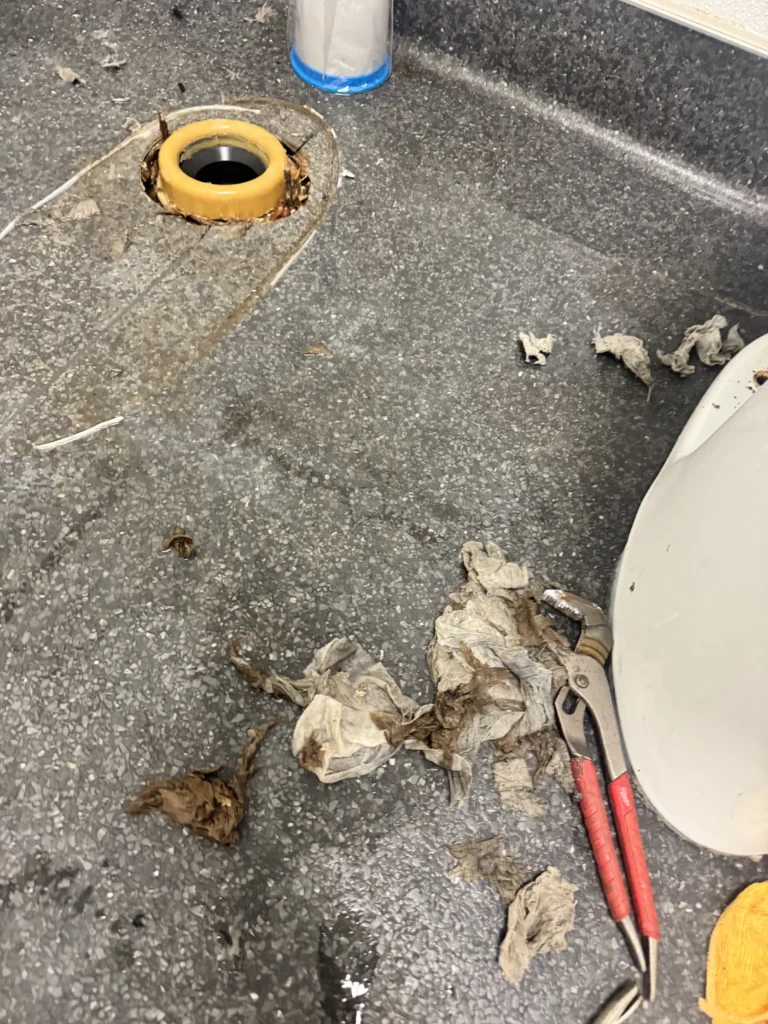 Toilet pulled off its flange with flushable wipes and debris removed from the drain on the bathroom floor