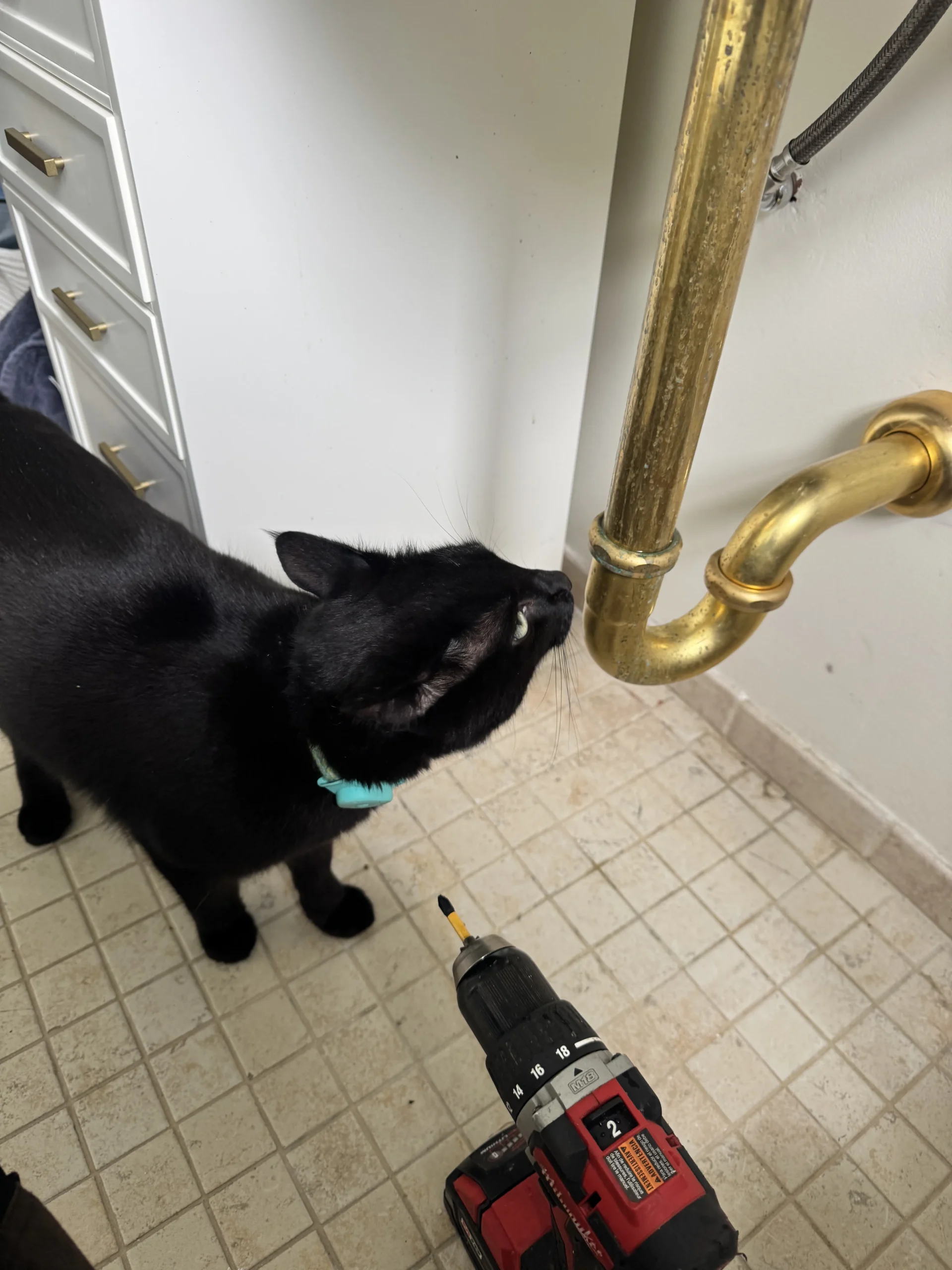 Rooter service technician clearing a clogged drain in Ballard, WA