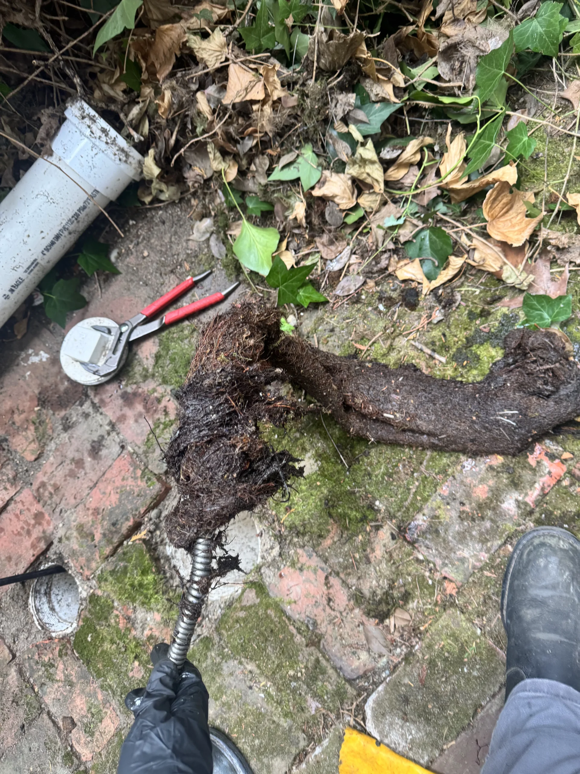 Clearing a backed-up Shoreline fixture during clogged drain service
