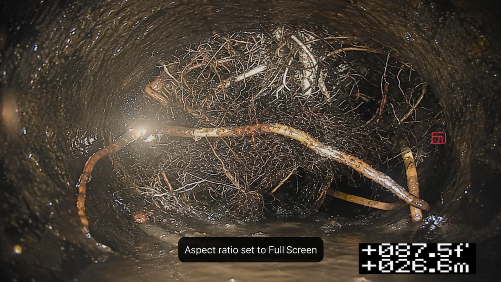 Sewer camera view of root intrusion inside a Seattle side sewer before cleaning