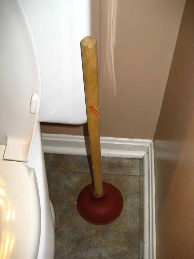 Plunger standing on the floor beside a toilet