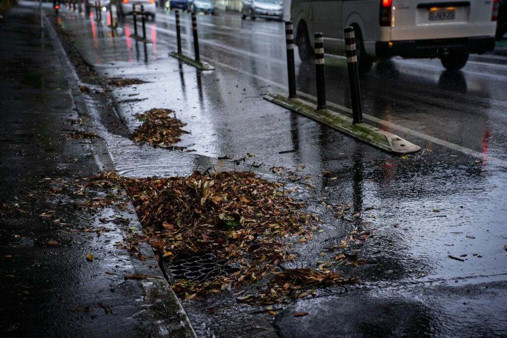 Fallen leaves piled on a storm drain grate on a wet street during rain